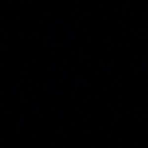 Meet your Posher, Carly